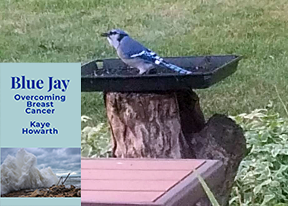 Bluejay Book by Kaye Howarth